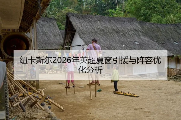 纽卡斯尔2026年英超夏窗引援与阵容优化分析