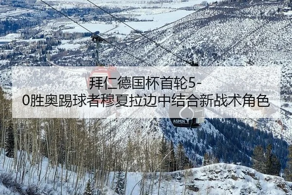 bai-ren-de-guo-bei-shou-lun-sheng-ao-ti-qiu-zhe-mu-xia-la-bian-zhong-jie-he-xin-zhan-shu-jue-se-2-490.jpg